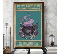 Retro Sign Witch We are The Granddaughters of The Witches You Couldn't Burn Full Wrapped Poster Metal tin Sign Decoration