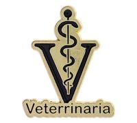 Retro Snake Staff Emblems Pin With Polished Metal Finish Sturdy Brooch For Daily Accessories And Collections Modern Vintage Daily Wear Brooch