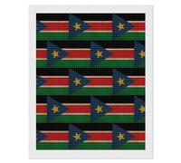 Retro South Sudan Flag Diamond 5D Painting Kits for Adult Beginners Round Full Drill DIY Wall Art Craft Decor Gift 16"x20"