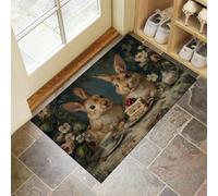 Retro Style Door Mats Indoor, Machine Washable Soft Doormats, Dirt Trapper Door Mat, Rabbit Eating Cake Entrance Rug, Non-slip Floor Mats For Inside, Front Back Doors, Pets and Dogs (80 x 120 cm)