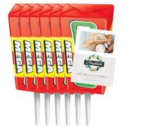 Retro Sweets Bundle for Swizzels Drumstick Mega Lolly 28g 6 Pack + Brightdale Kitchen Booklet