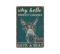 Retro Teal Why Hello Sweet Cheeks Donkey Tin Signs, Love Donkey Sign for Home, Funny Vintage Metal Sign 6x8 Inch