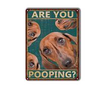 Retro Tin Sign Retro Iron Painting Dachshund are You Pooping Restroom Bathroom Wall Decor Dog Lovers Gift Dachshunds Bathroom Decor Tin Bar Signs 6x8 Inch-Tin Sign