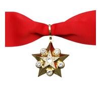 Retro USSR Forces Neck Decoration Badge Pin Featuring Strong Alloy Build Great History Present for Themed Parties Historical Soviet Star Pendant Brooch