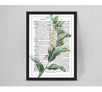 Retro/Vintage Dictionary Print, Botanical Leaf Art Plants Flower, Home Decor A4/A3 (A4)