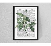 Retro/Vintage Dictionary Print, Botanical Leaf Art Plants Flower, Home Decor A4/A3 (A4 Print (210x297mm) 8.27x11.69 in)