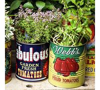 Retro Vintage Storage Tins Set of 2 Round Canister Jar Food Utensils Table Decor (Tomato Set) by Temerity Jones