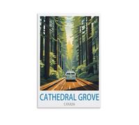 Retro Vintage Wall tin Plaque Cathedral Grove Canada Art Plaque Poster Wall Decor for Home Tool Room Bar Club Restaurant Cafe 30x30cm