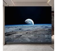 Retro Wallpaper 400x280cm Alien Earth Living Room Wallpaper Multi-Panel Oil Canvas Wall décor with Seamless Alignment, Suitable for Studio or workspace EB24-10323