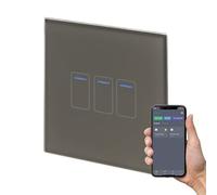 Retrotouch Crystal+ Touch WiFi Switch | 2 Gang Smart Light Switches | Multi Control | Remote Control | App Compatible With Alexa & Smart Life | Brass Glass Finish | LED Indicator