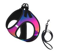 Retrowave Pictures Print Dog Harness Reflective Pet Vest Harness Puppy Harnesses Leash Set,For Walking Training