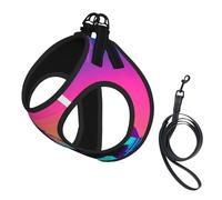 Retrowave Pictures Print Pet Leash Vest,For Small Dogs,Adjustable And Comfortable Cat Puppy Essentials
