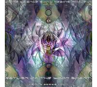 Return of the Boom Shanti 1 / Various