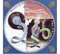 Return of the Roughnecks by Chameleons