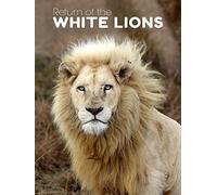 Return of the White Lions