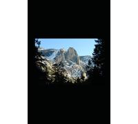 Return To Paradise: Coming Home