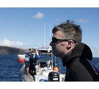 Return to Shark Island