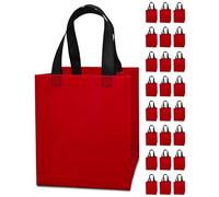 REUGBEXPT 24 Red Gift Bags - Sturdy, Reusable, Medium 8x5x10 with Handles, Non-Woven Gift Bags for Christmas, Mother's Day, Valentine's Day, Graduations, Birthdays & Parties