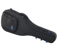 Reunion Blues Expedition Semi-Hollow Gigbag