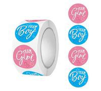 Reusable Boy/Girl Stickers Adhesive Labels for School Supplies Storage Containers Clear Gender Symbols Grid Coated Art Paper Sticker