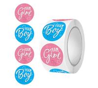 Reusable Boys Girls Stickers Self Adhesive Labels for School Supplies Storage Containers Clear Gender Symbol Non-Toxic Gender Identification Stickers