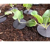 Reusable Cabbage Plant Protector Barrier Guard Collar Mat, Deters Root Flies and Weeds at Roots of Plants Linic Products UK Made (X8140). Free UK Postage. (40)