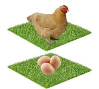 Reusable Chicken Nesting Pads, Artificial Grass Egg Laying Carpet, Soft Nest Floor Mat, 30x30cm for Pet Roosting, Garden Coops, Backyard Chicken Pens and Lawns Practical Solution