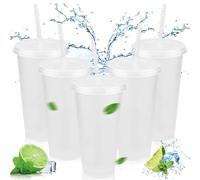 Reusable Clear Cold Cups with Lids and Straws,5 Pcs Iced Water Cups 24oz & BPA Free Plastic Cup,Cold Drinking Tumblers Travel Mugs Custom for Coffee Smoothie Juices Party Bulk for Adult Women