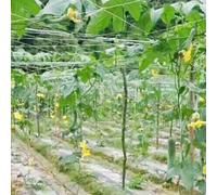 Reusable Climbing Support System Made of Polythene Material Aiding in Sustainable Gardening Practices
