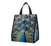 Reusable Collapsible Insulated Lunch Bag 9L Foldable Thermal Colorful Peacock Feathers Cooler Bag with Aluminum Foil Liner Washable Leakproof & Lightweight Lunch Tote for Work Picnic Beach Gym