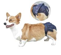 Reusable Dog Diaper - Adjustable Washable Leak-Proof Dog Nappies with Denim Ruffles, Comfortable Female Dog Heat Cycle Pants for Incontinence Excitable Urination Daily Use (#1,L)