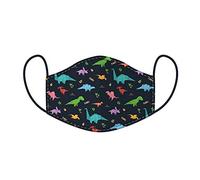 Reusable Face Covering - Non Medical - Size Small (Age 4-12 - 20cm x 11cm) - Dinosaur Design