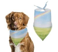 Reusable Field Under The Rainbow After The Rain Triangle Pet Scarf, Dog Bandana, Polyester Fabric, Pet Bandana for Small Medium Large Dog Cat and Other Pets 27.6 * 11.8 Inches