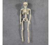 Reusable Halloween Decorations 36'' Halloween Skeleton Decorations,3ft Full Body Posable Skeleton Realistic Plastic Bones Movable Joints for Party Yard(C,40x12x5cm)