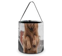 Reusable Halloween Tote Candy Bags Happy Golden Retriever Portable Snack Bag for Gifts Shopping