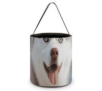 Reusable Halloween Tote Candy Bags Husky Piquant Dog Portable Snack Bag for Gifts Shopping