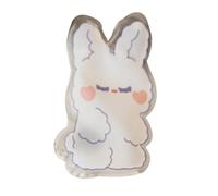 Reusable Hand Warmers - Cartoon Waming Pads,Reusable Heat Warmers for Hands - for Women Teen Girl Child Men Outdoor Winter Snowboarding