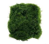 Reusable Lifelike Fake Moss, Decorative Artificial Moss, Artificial Green Moss Fake Moss for Crafts Floral Arrangement Terrarium Diorama Table Decor Model Making(50g)