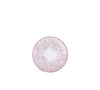Reusable Plates Creative Ceramic Western Food Plate Steak Plate Household Dish Flat Plate Japanese Plate Dish Red Tableware Dinner Plate(L)