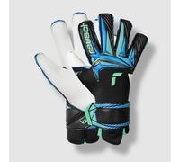 Reusch Attrakt REGRIP Evolution GK Gloves