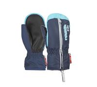 Reusch Ben Mitten 4685408 Men's Gloves Dress Blue/Bachelor Button IV