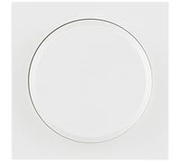 REV Matrix 0239700106 Dimmer Cover Knob for Controller, Matte White