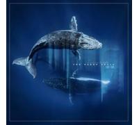 Reverb From The Depths