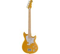 Reverend Mike Watt Wattplower MkII WY