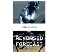 Reversed Forecast – A Brilliantly Unconventional Women's Fiction Novel Set in London