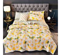 Reversible Cooling Blanket Single Double King Size Summer Quilt Microfibre Coverless Duvet All Seasons Cool Summer Duvet Anti Allergenic, Lightweight and Machine Washable (150x200cm,A13)
