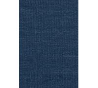 Revisiting Human Rights in Canadian History (Human Rights and Social Justice Series)