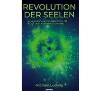 Revolution der Seelen - Aufbruch ins goldene Zeitalter durch die Kraft der Liebe