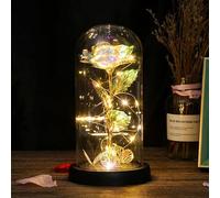 REWIAR Eternal Rose Under Bell Gift for Women - Eternal Rose with LED Light - Valentine's Day Pink Galaxy Light for Her, Mother's Day, Christmas and Birthday (Colour)