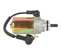 REwNXA Starter Motor Compatible With Badger YFM80 Champ YFM100 80 Moto-4 50 YFM50 80 55X-81800-50-00